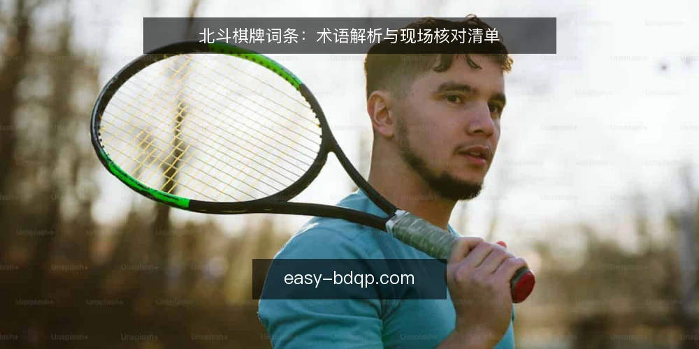 北斗棋牌词条：术语解析与现场核对清单 — 为何现在需要核对北斗棋牌术语 配图